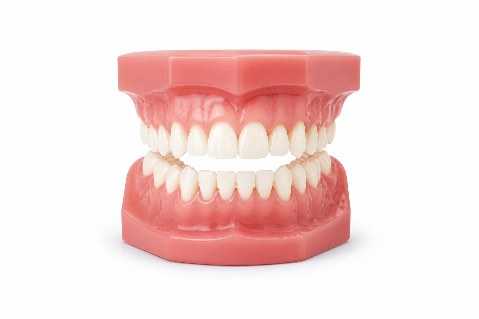 Prosthodontics dental products